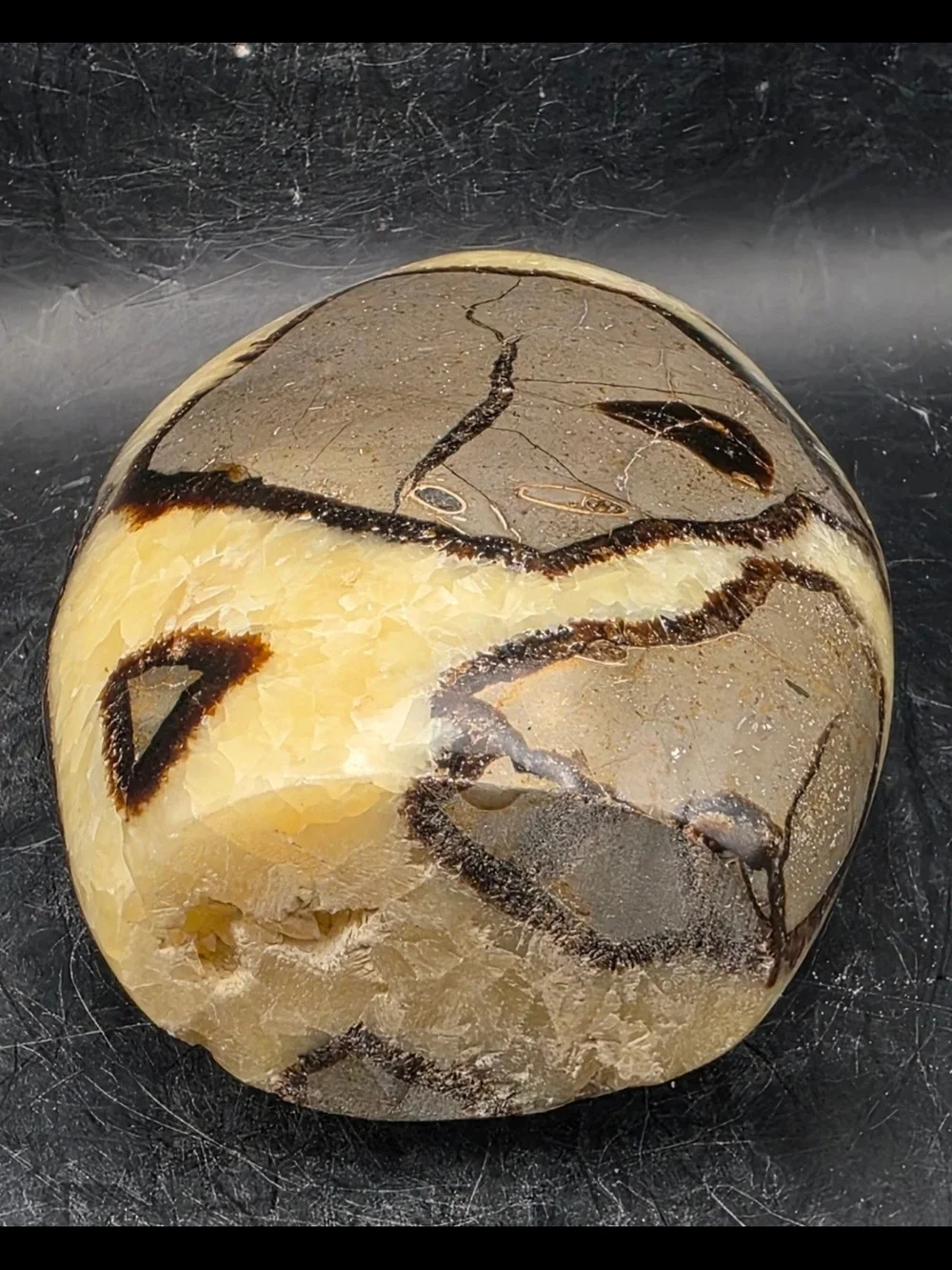 LARGE Septarian Dragon Egg Freeform Statement Piece NEW 5